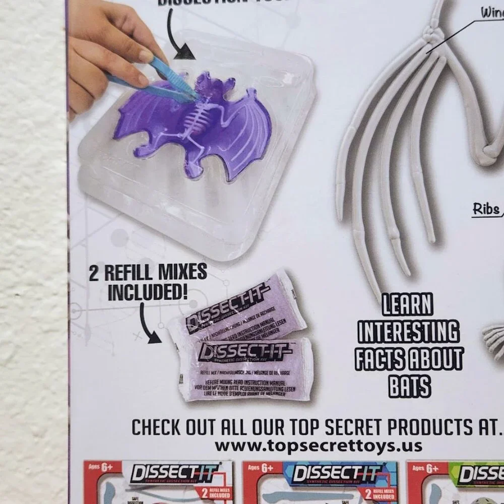 NEW Dissect-it Synthetic Lab Dissection Toy STEM KIT CRAFT Project Bat Biology A